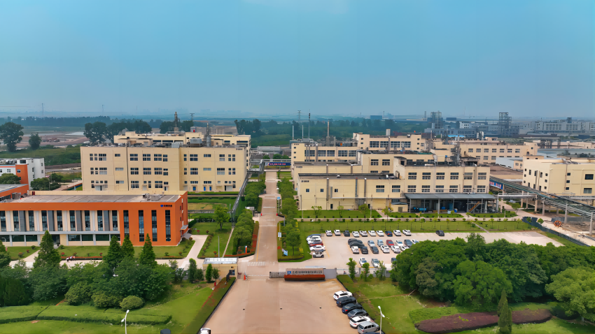 1719218116445695C0nj.png 13(1).png